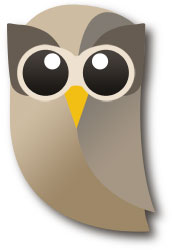 HootSuite Icon