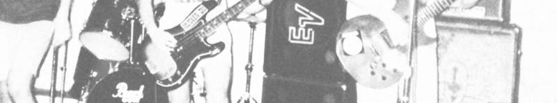 Banner image