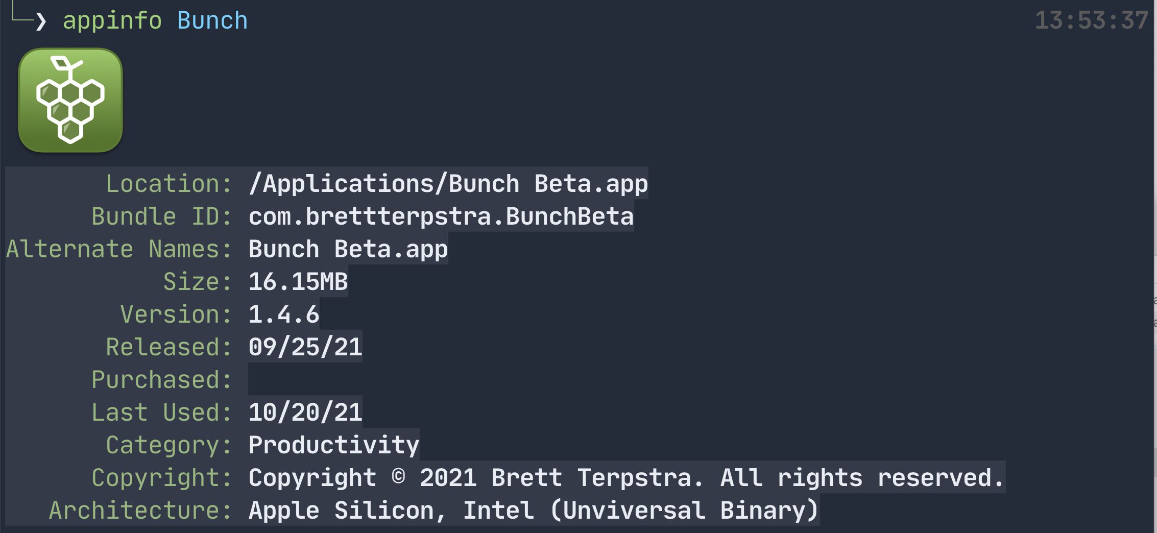 Revisiting appinfo Mac app details from the command line
