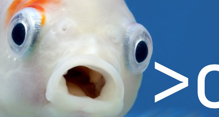 A fuzzy cd command for Fish 